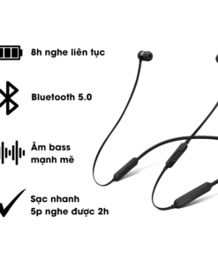 Tai nghe BeatsX